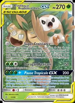 Brindibou et Noadkoko d’Alola GX · Harmonie des Esprits 1